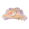 Dozing Luna Hair Claw Rainbow