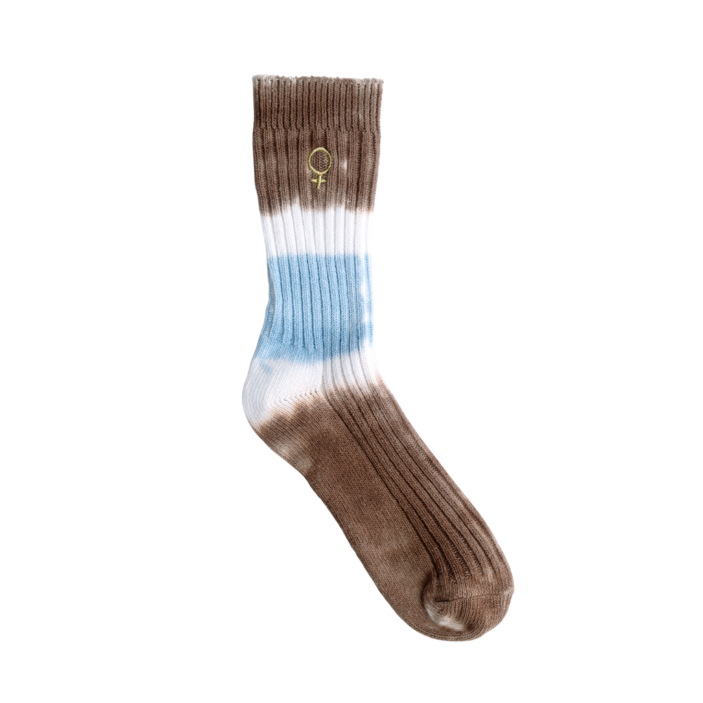 Explorer Socks Coast