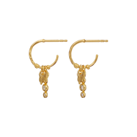 Fauna Øredobber