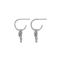 Fauna Øredobber