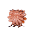 Kielo Hair Claw Coffee