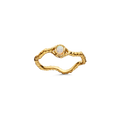 Lisa Ring