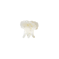 Pasha Hårklype Shell