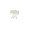 Pasha Hårklype Shell