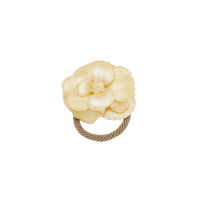 Roas Hairelastic Pear sorbet