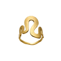 Sasja Ring