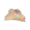 Cloud Hair Claw Rainbow