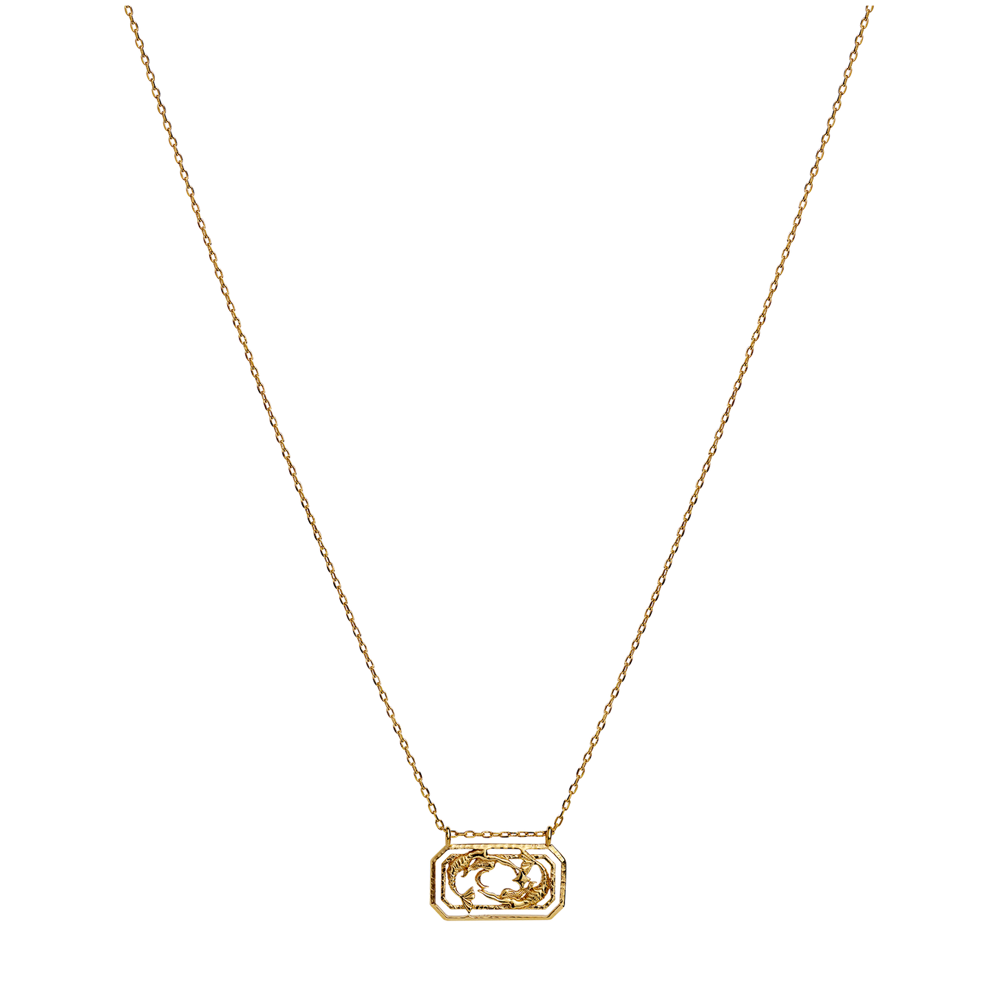 Zodiac Pisces Necklace 19. Feb - 20. Mar