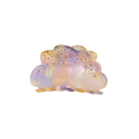 Sky Hair Claw Rainbow